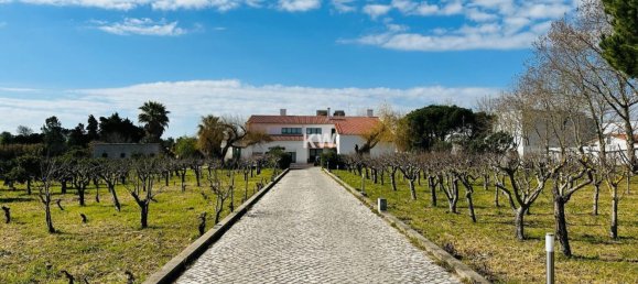 Дом с 17 спальнями в Аленкер, Португалия № 143541 2