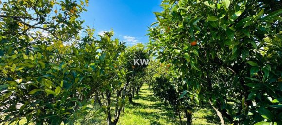 Дом с 17 спальнями в Аленкер, Португалия № 143541 14