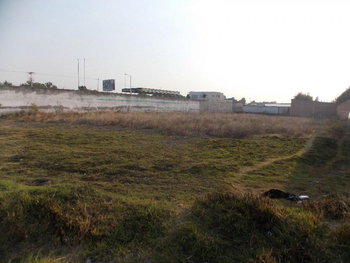  قطعة أرض في San Buenaventura, Mexico رقم 206030