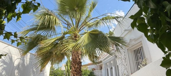 3 غرف نوم فيلا في Torrevieja, Spain رقم 176052 18