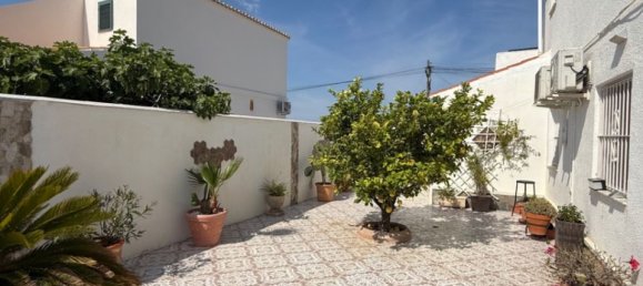 3 غرف نوم فيلا في Torrevieja, Spain رقم 176052 51