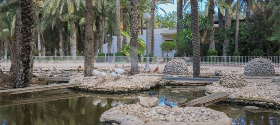 2 bedrooms Apartment in Alicante, Spain No. 148852 48