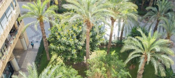 2 bedrooms Apartment in Alicante, Spain No. 148852 6