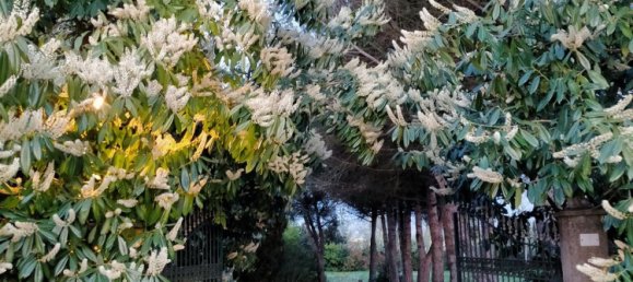 Villa de 10 habitaciónes en Jesolo, Italy No. 290710 10