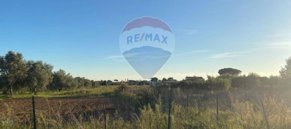 Земельный участок 9060м² в Неттуно, Италия № 124400 4