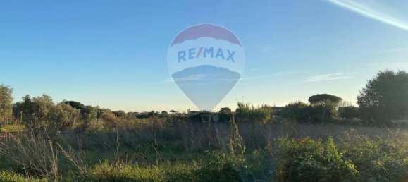 Земельный участок 9060м² в Неттуно, Италия № 124400 10