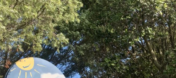 5-salle Villa à Telti, Italy No. 232264 12