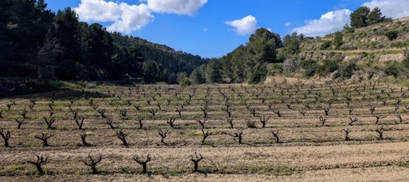  Land in Benissa, Spain No. 71314 23