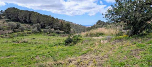  Land in Benissa, Spain No. 71314 32