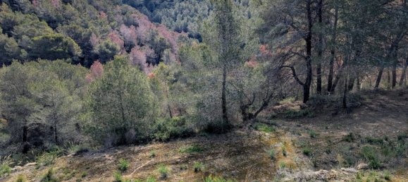  Land in Benissa, Spain No. 71314 19