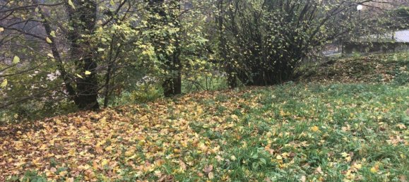 Terreno en Gerona, Spain No. 62972 8