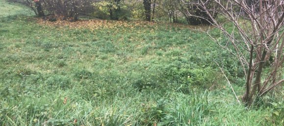 Terreno en Gerona, Spain No. 62972 14