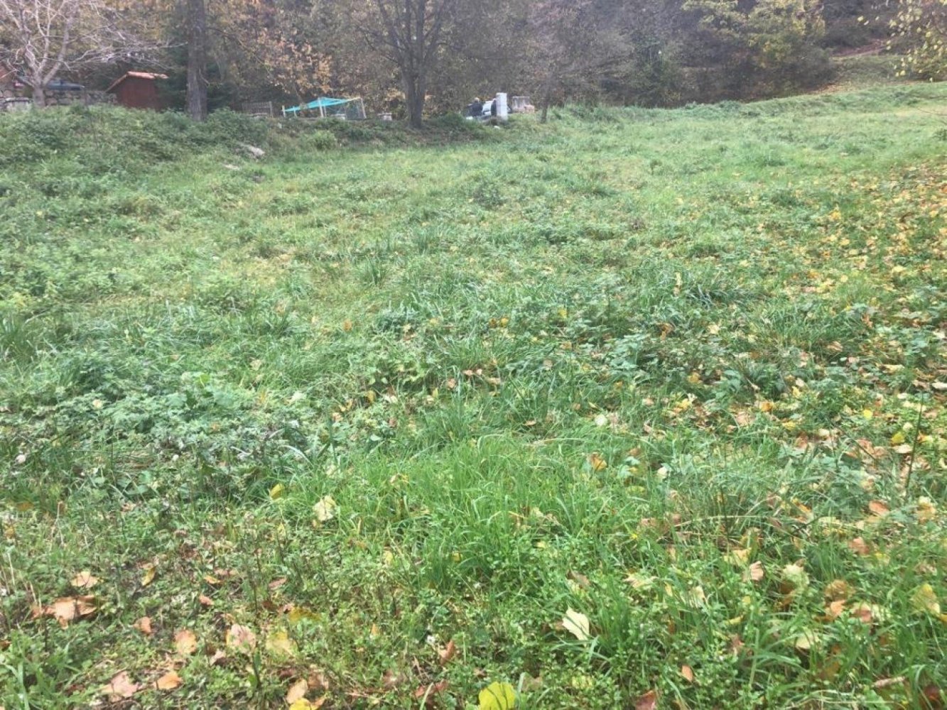 Terreno en Gerona, Spain No. 62972