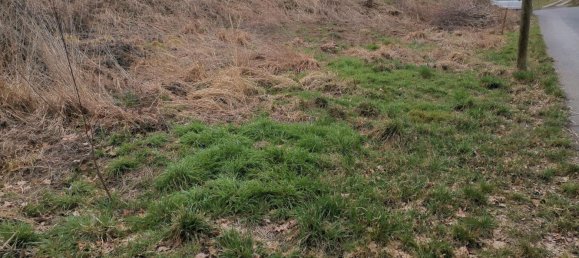  Land in Sachsische Schweiz-Osterzgebirge, Germany No. 218181 8