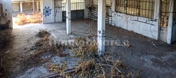 5 rooms Building in Trieste, Italy No. 78985 4