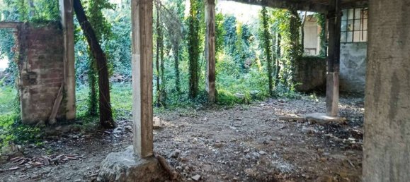 5 rooms Building in Trieste, Italy No. 78985 2