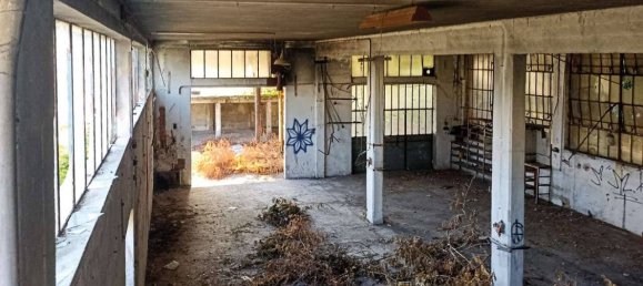 5 rooms Building in Trieste, Italy No. 78985 3