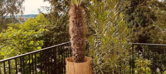 10غرفة فيلا في Lahn-Dill, Germany رقم 217704 11