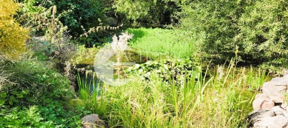 Ферма с 20 комнатами в Зальцведель, Германия № 137034 39