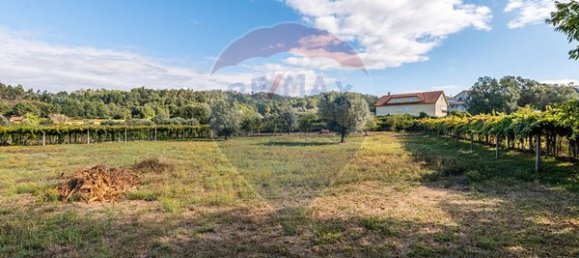 3 Schlafzimmer Haus in Ponte de Lima, Portugal, Nr. 189424 15