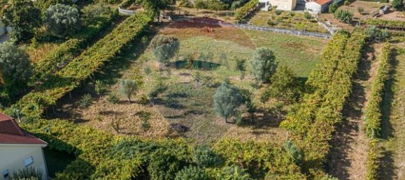 3 Schlafzimmer Haus in Ponte de Lima, Portugal, Nr. 189424 17