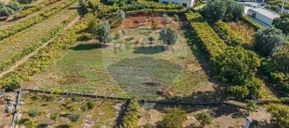 3 Schlafzimmer Haus in Ponte de Lima, Portugal, Nr. 189424 21