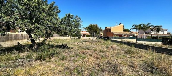 493m² Land in Naquera, Spain No. 126938 3