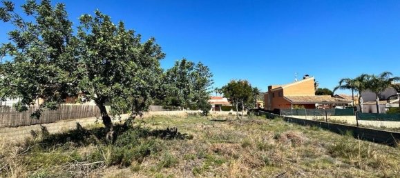 493m² Land in Naquera, Spain No. 126938 4