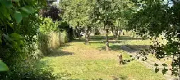 6-Zimmer Stadthaus in Nordhausen, Germany, Nr. 351178 6