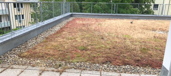 1 chambre Appartement à Hochtaunuskreis, Germany No. 280356 5