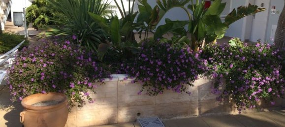 Apartamento de 1 dormitorio en Benissa, Spain No. 76745 2