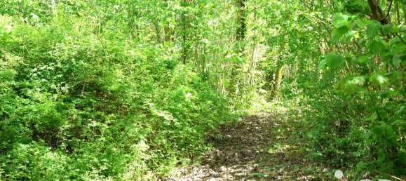 4 غرف نوم منزل في Givenchy-en-Gohelle, France رقم 71880 16