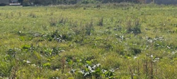 691m² Land in Metz, France No. 75434 3