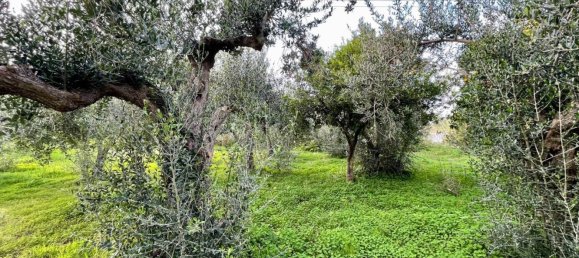 Casa de 4 divisões em Castellammare del Golfo, Italy N.º 258030 49