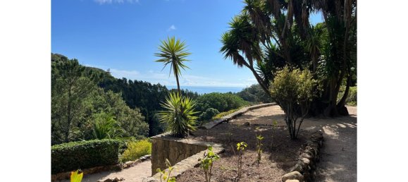 4 غرف نوم فيلا في Sintra, Portugal رقم 111544 8