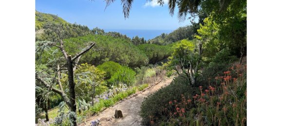 4 غرف نوم فيلا في Sintra, Portugal رقم 111544 5