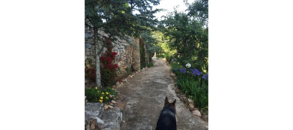 4 غرف نوم فيلا في Sintra, Portugal رقم 111544 14