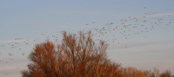 Casa de 6 habitaciónes en Minden-Lubbecke, Germany No. 237472 20