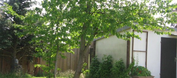Casa de 6 habitaciónes en Minden-Lubbecke, Germany No. 237472 4