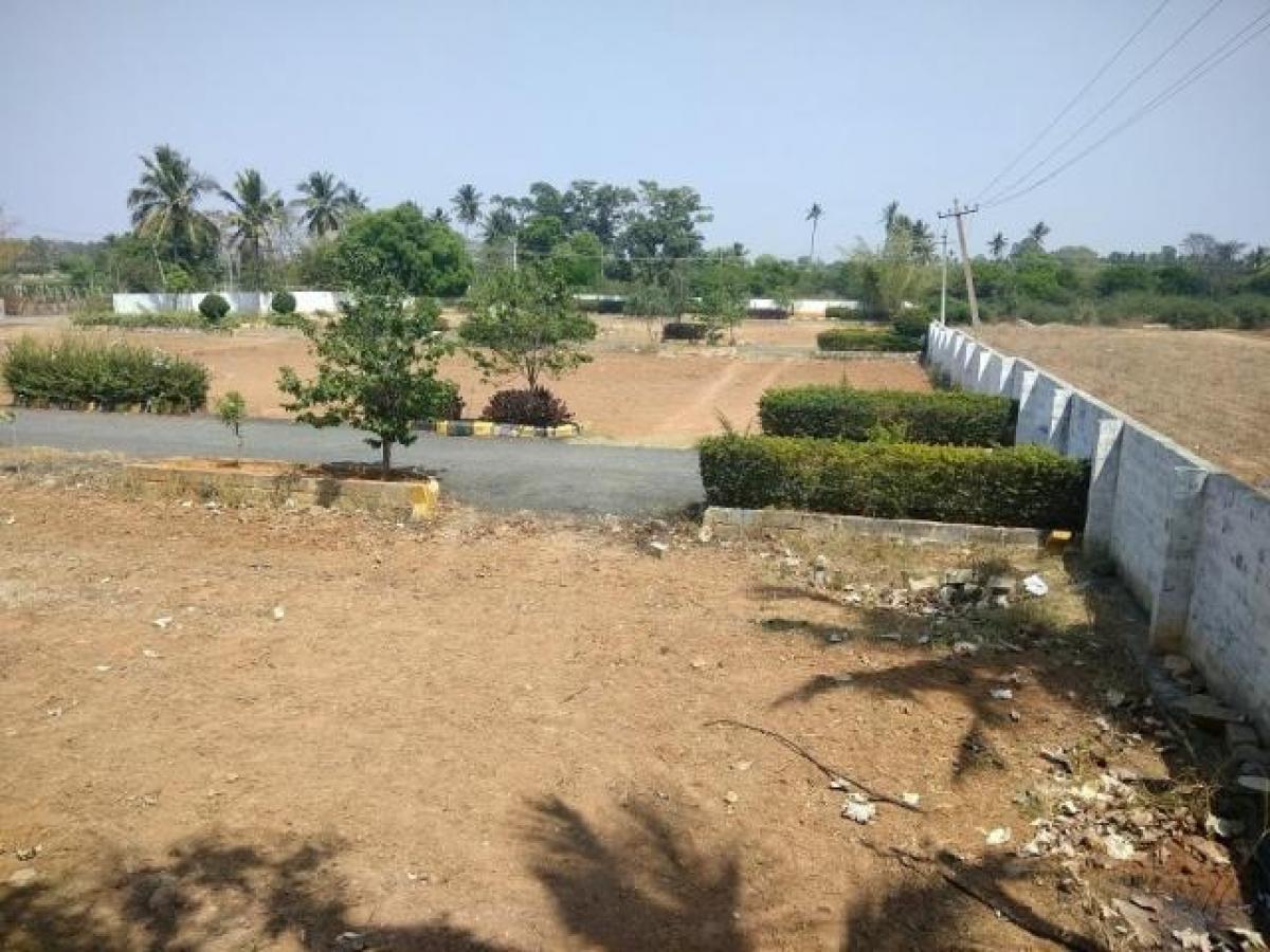  Land in Bangalore, India No. 31739