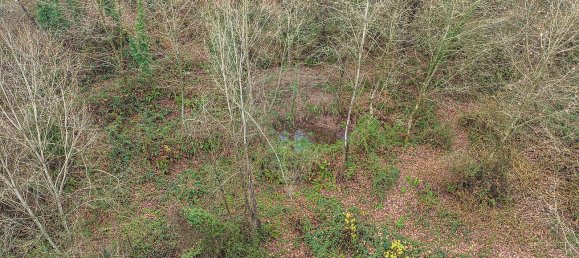 Casa de 3 dormitorios en Vale de Bouro, Portugal No. 37495 19