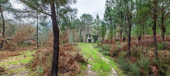 Casa de 3 dormitorios en Vale de Bouro, Portugal No. 37495 20