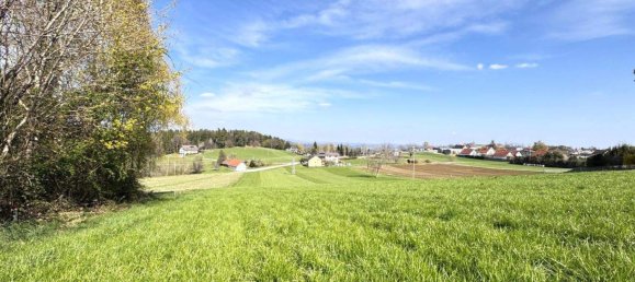 Grundstück in Graz-Umgebung, Austria, Nr. 127646 2