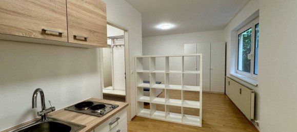 Studio in Wetzelsdorf, Austria No. 165443 2