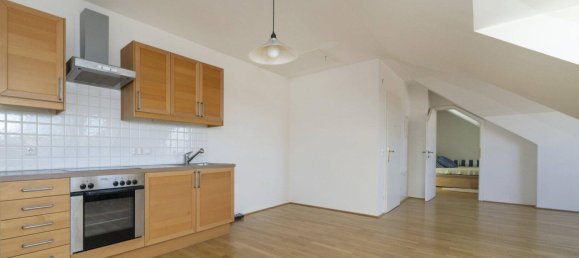 12 rooms Villa in Hietzing, Austria No. 257221 23