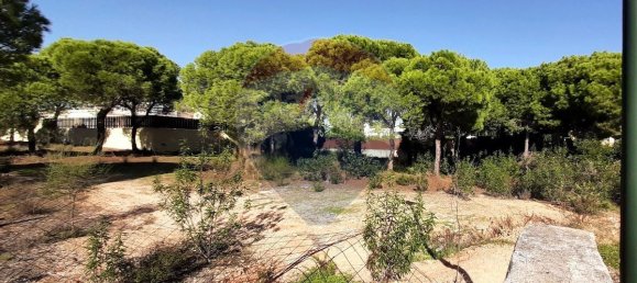 960m² Land in Almancil, Portugal No. 109128 8