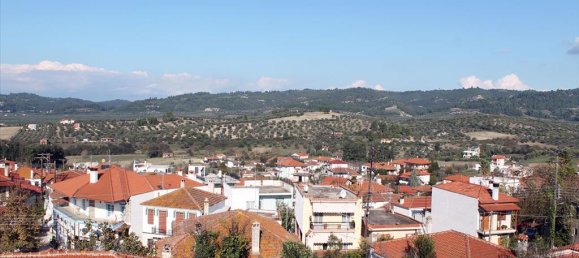 Gewerbliche Immobilie in Chalkidiki, Greece 300m², Nr. 7541 3