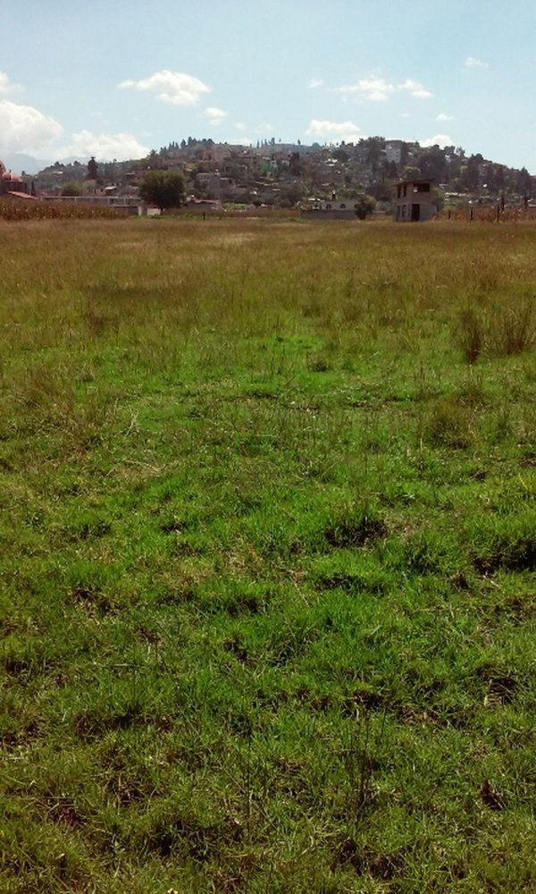  Land in San Buenaventura, Mexico No. 206310