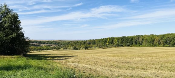 4 bedrooms House in Erfurt, Germany No. 268044 35