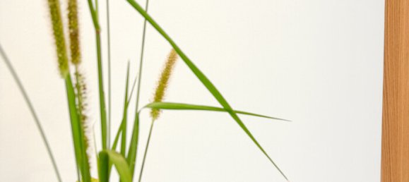 Офис 22м² в Брегенц, Австрия № 64994 18